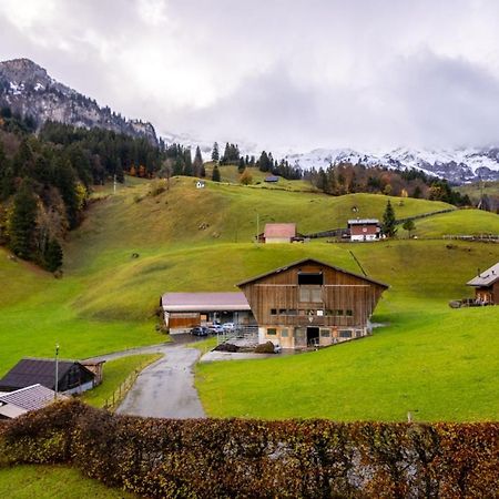 Wunderstay Alpine 303 New Studio With Lake & Mountain View Engelberg Exteriör bild